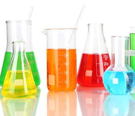 深圳非即饮型茶市场 从传统到现代的健康新风尚