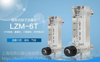 【LZM-6T氮气转子流量计_上海佰质仪器】价格_厂家 - 中国供应商